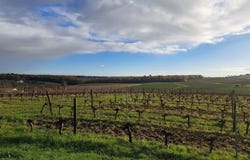 Saint-Macaire, Aquitaine 33490