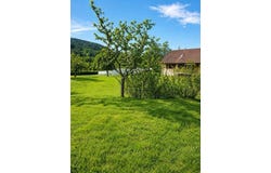 Granges-Aumontzey, Lorraine 88640