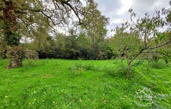 Louchats, Nouvelle-Aquitaine 33125