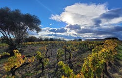 Autignac, Languedoc-Roussillon 34480