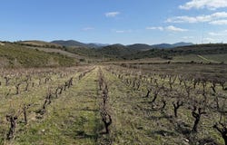 Cascastel Des Corbieres, Occitanie 11360