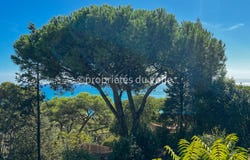 Sète, Languedoc-Roussillon 34200
