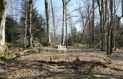 Faucogney-et-la-Mer, Franche-Comté 70310
