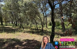 Castries, Languedoc-Roussillon 34160