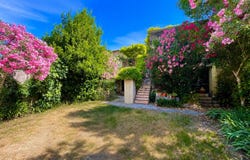 Nizas, Languedoc-Roussillon 34320