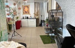 EPINAL, Grand Est 88000