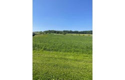 Rantzwiller, Alsace 68510