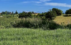 Cassagnabère-Tournas, Midi-Pyrénées 31420