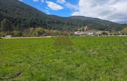 Saint-Florent-sur-Auzonnet, Gard 30960