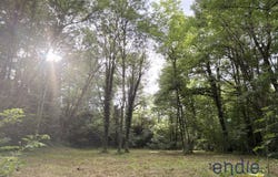 TERRE CLAPIER, Occitanie 81120