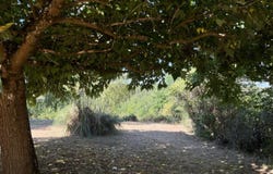 Lalinde, Aquitaine 24150