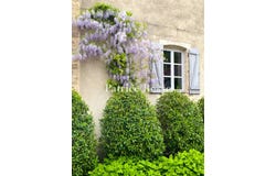Beaune, Burgundy 21200