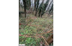 Sens, Bourgogne 89100