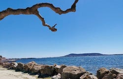Bouzigues, Languedoc-Roussillon 34140
