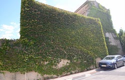 Bize-Minervois, Languedoc-Roussillon 11120