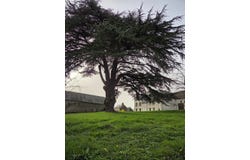 Tavers, Loiret 45190