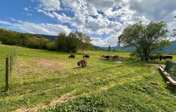 Puivert, Languedoc-Roussillon 11230