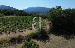 Buis-les-Baronnies, Auvergne-Rhône-Alpes 26170
