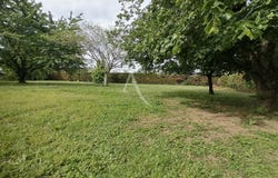 GAILLAC, Occitanie 81600