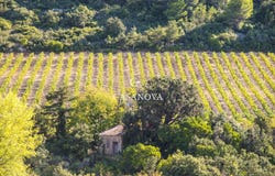 SAINT CHINIAN, Occitanie 34360