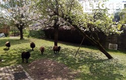 Brou, Centre-Val de Loire 28160