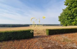 Assay, Centre-Val de Loire 37120