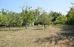 Douchapt, Dordogne 24350