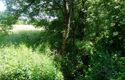 Thiviers, Dordogne 24800