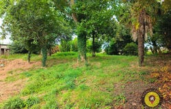 Taden, Côtes-d'Armor 22100