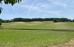 Laprade, Poitou-Charentes 16390