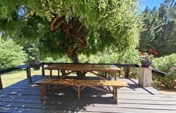 186 Chemin de Barthe-Folle, Caussade, Tarn-et-Garonne 82300