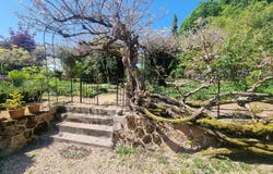 Issy-l'Evêque, Burgundy 71760