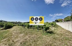 Arbois, Jura 39600