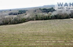 Salinelles, Gard 30250