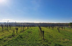 Saint-Macaire, Gironde 33490