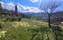 Soultzeren, Alsace 68140