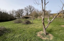 Saint-Plaisir, Auvergne 03160
