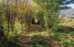 Tunnel de Foix, FOIX, Occitanie 09000