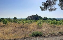 Roquefort-Des-Corbieres, Languedoc-Roussillon 11540