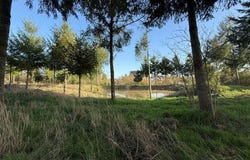 Sonzay, Centre 37360