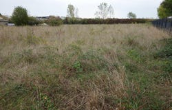 Blaye, Aquitaine 33390