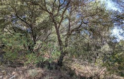 Brunet, Alpes-de-Haute-Provence 04210