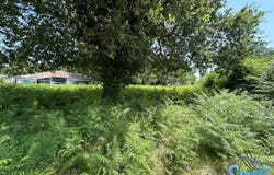 Moliets-et-Maa, Aquitaine 40660