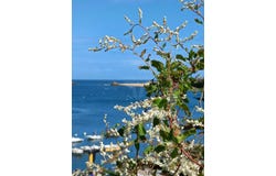 Île-d'Houat, Morbihan 56170