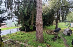 COUBJOURS, Nouvelle-Aquitaine 24390