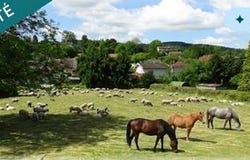 Mandeure, Franche-Comté 25350