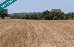 Albi, Midi-Pyrénées 81000
