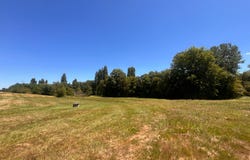 PELLEGRUE, Nouvelle-Aquitaine 33790