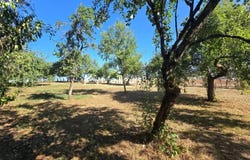 Thervay, Jura 39290