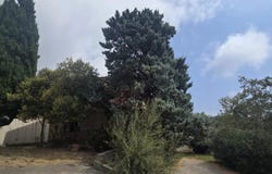 Bastia, Corsica 20200